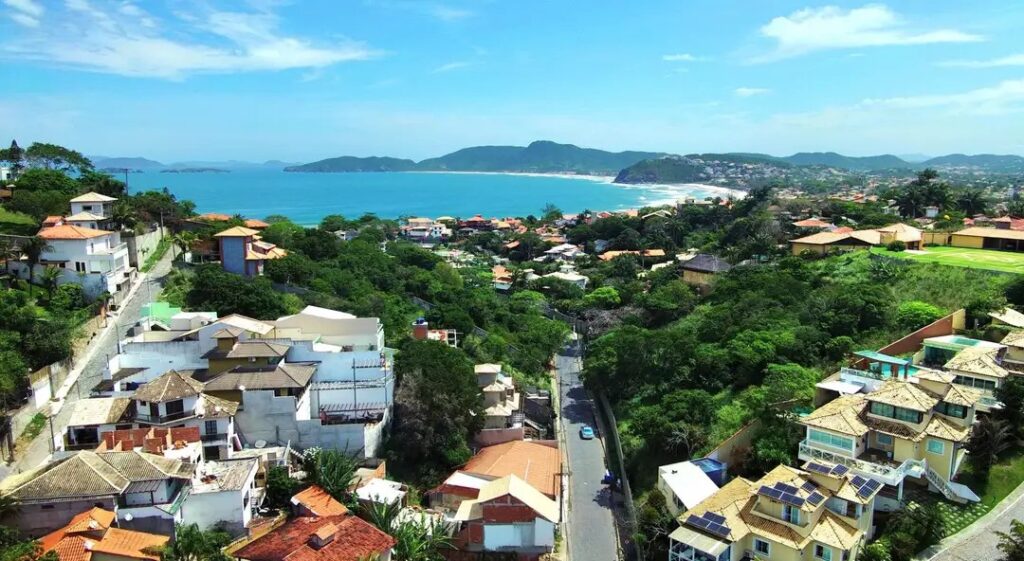 Foto de Palima Oliva